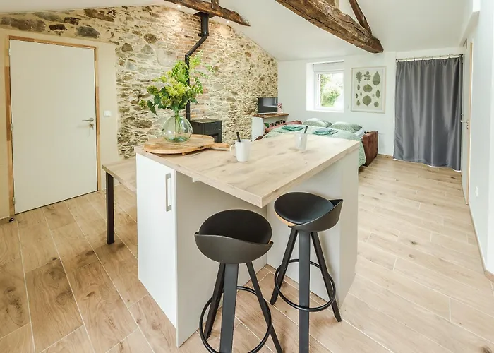 Grange Renovee 2 Pers-lepetitlieu-gite Le 411 Saint-Philbert-de-Grand-Lieu